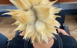 洁癖的刺猬是什么生肖？刺猬头指什么生肖