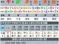 张忠民八字命理详解：生辰八字排盘与运势分析指南