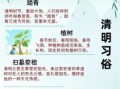 清明节能到别人家拜访吗 清明节能去别人家作客吗