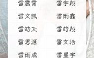 雷姓男孩起名，带金字旁的男名选取
