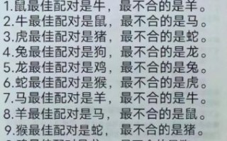 猴和什么属相最配？揭秘生肖猴的最佳婚配属相