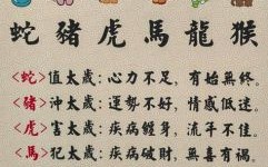 挑最前面的是什么生肖？挑最前面的打一数字