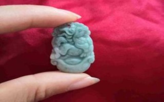 翡翠一点红是什么生肖？中间一点红是什么动物