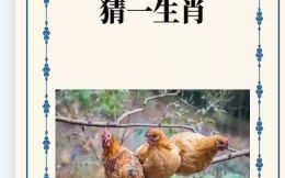 目迷五色猜一生肖