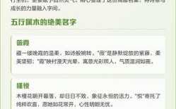 五行缺木好听女孩名字 五行缺木的女孩名字分高