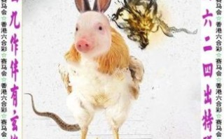 祸不单行指什么生肖