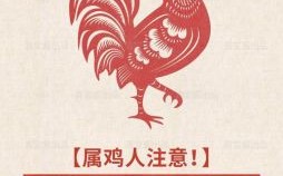 1993年出生属鸡人2025年运势与每月运程 32岁生肖鸡蛇年运势详解