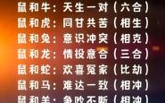 属鼠的和什么属相最配？生肖配对解析与婚配建议