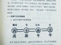 与易学有缘的八字特点及适合学易的命理