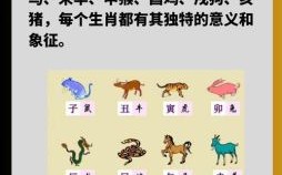 2007年属哪个生肖