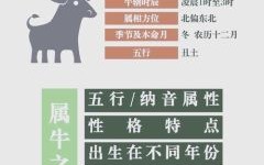 1997年属牛女2025年感情运势与婚姻运势解析