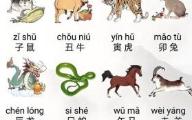 南下是什么生肖？帝王南下打一准确动物