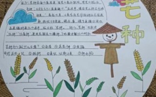 芒种的含义与芒种节气的思维导图