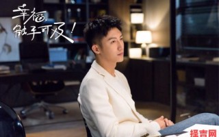 幸福触手可及主演名单