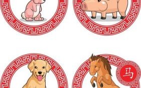 借古喻今打一生肖