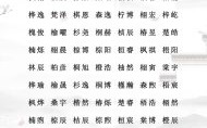五行属木的字女孩用名有哪些字 五行属木的女孩取什么名字好