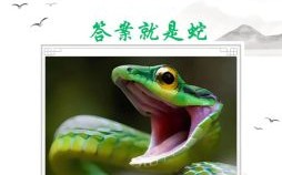 梦断魂消猜三个数字 梦断魂消猜一个准确生肖