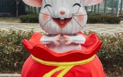 灵活声又高是什么生肖？活灵活现是何生肖