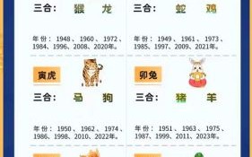 一波三折是什么生肖？波打一个生肖