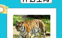 方寸不乱打一生肖