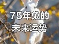 75年属兔一生命运解析1975年属兔人生运势