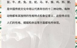 属蛇人最佳婚配属相