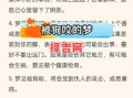 梦见被狗咬预示什么？解析梦境背后的含义与象征