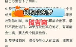 梦见被狗咬预示什么？解析梦境背后的含义与象征