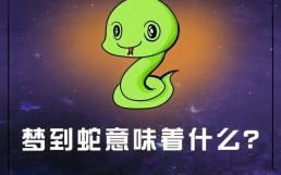 女人梦见小白蛇，女人梦见白蛇是啥预兆