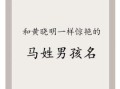 马姓男孩起名大全，马的名字男性取名集锦
