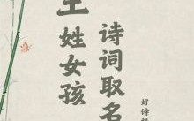 王姓女孩名字属猪 王姓女孩缺火名字