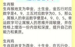 一五合成三五数是什么生肖？有三有五打一数字