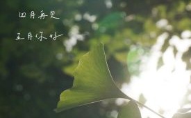 2025年5月下葬吉日 2025年5月下葬吉日吉时