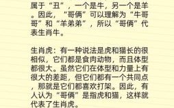 马虎应付是何生肖