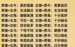 属猪的和哪些属相最配相克