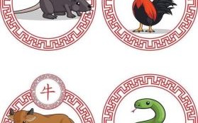 钢筋铁骨什么生肖