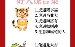 偷鸡摸狗是什么一生肖？偷鸡摸狗是指哪一肖