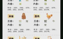 三十六计变化多是什么生肖？三十六计着代表什么生肖