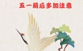 冷水烫猪是什么生肖？冷水烫猪最佳答案一肖