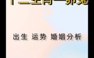 1963年兔年生人命运如何 2003年羊年出生属相命理怎样