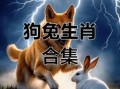 狗和兔的婚配如何 狗和兔的婚姻会怎样