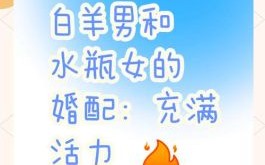 如何追求水瓶座以及水瓶座与白羊座争执后谁来缓和