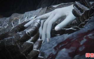 艾尔登法环菈妮任务菈妮受伤原因解析