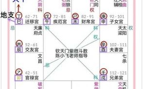 2025年10月10日出生女命紫微斗数命盘 二零二五年八月 小十九紫薇八字测算