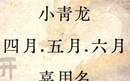 带日女孩名字大全 带日字的女孩名