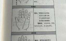 手相入门指南 一图读懂你的掌纹