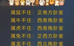 朝不保夕指什么生肖