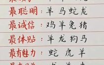 欲钱看飞机是什么生肖？摩托车打一个生肖