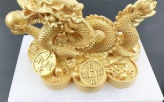 属龙人33岁创业属龙人做什么生意致富