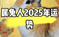 2025年生肖兔运势解析 2025年生肖兔是否犯太岁